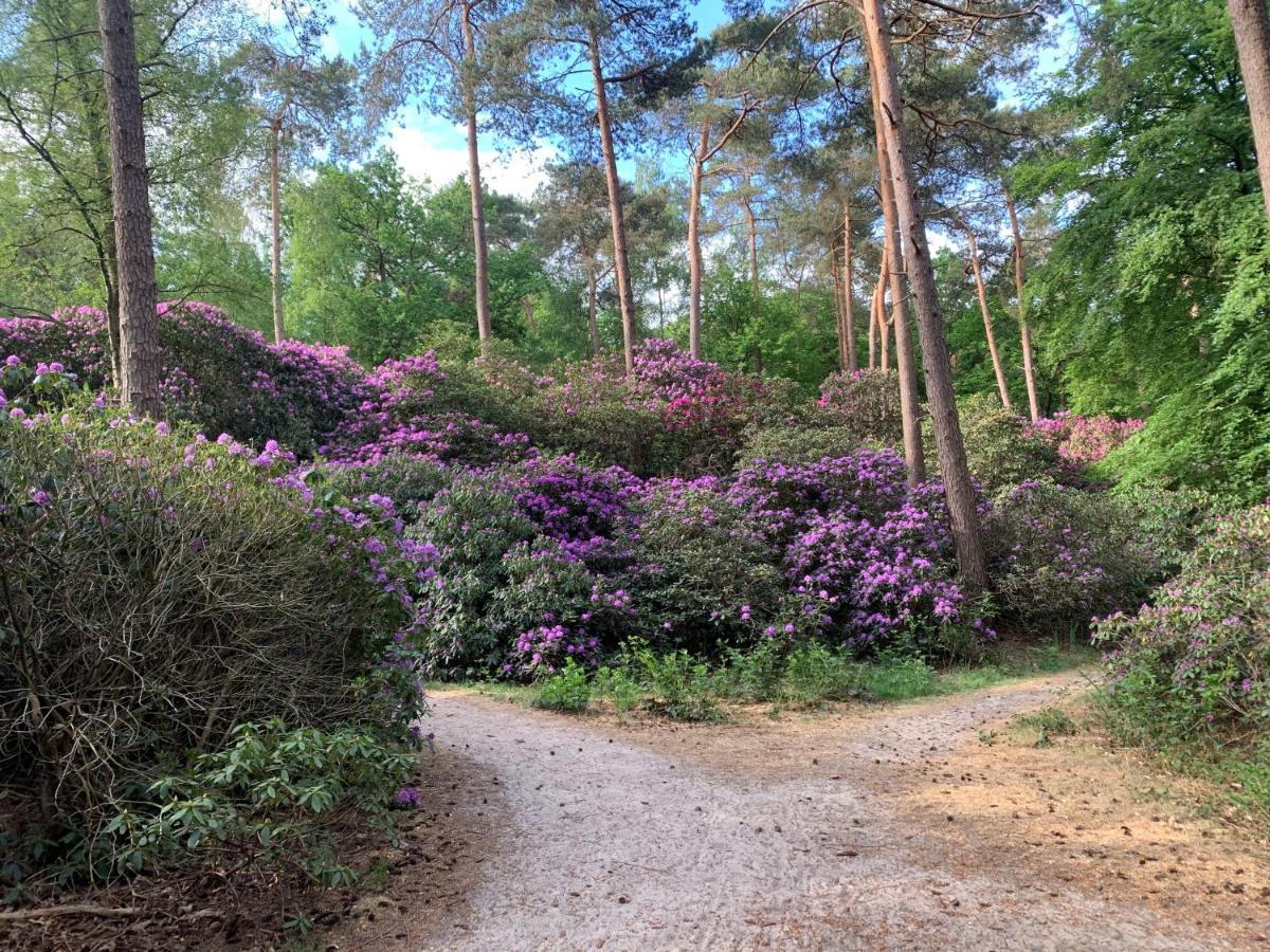 Hotel Duynparc Soest